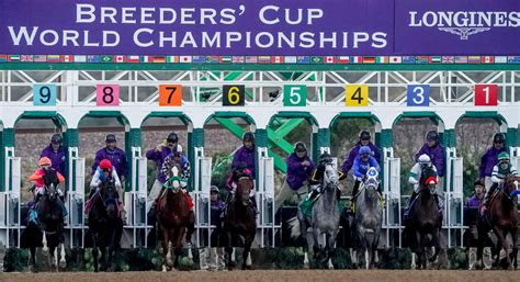 breeders' cup results saturday|Breeders' Cup Results .